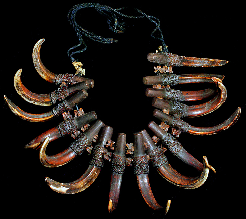 Wild boar clearance tusk necklace